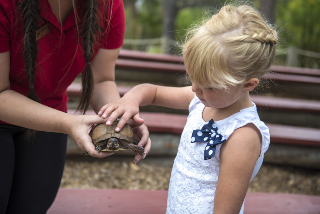 Schedule a naturalist visit to your classroom to deliver a customized program to complement your unit or lesson.